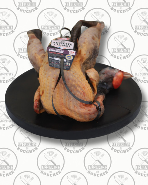 Pintade fermière