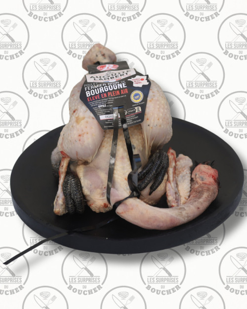 Poulet fermier noir de bourgogne