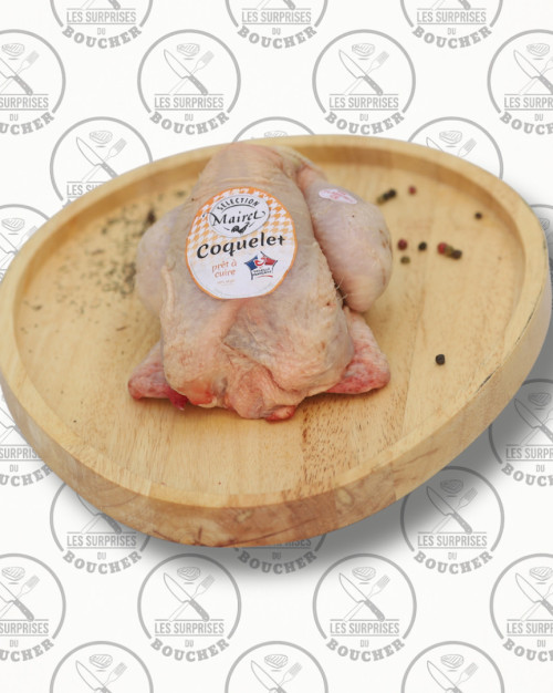 Coquelet